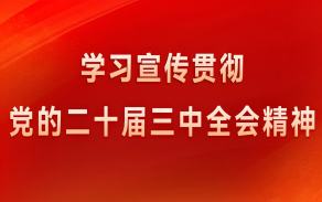 學習宣傳貫徹黨的二十屆三中全會精神